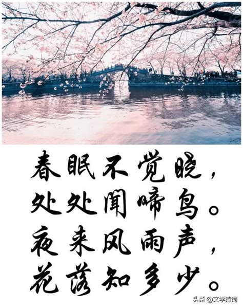 落花人獨立，微雨燕雙飛。|中國古詩文精讀